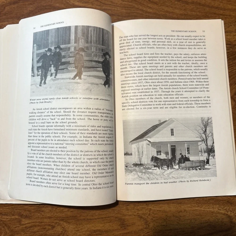 Amish Children Education Family School Community 2nd Ed Hostetler 1992 Sociology